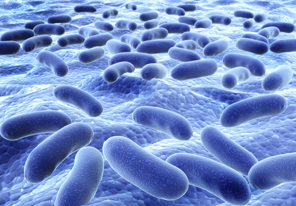 Biofilm on Teeth