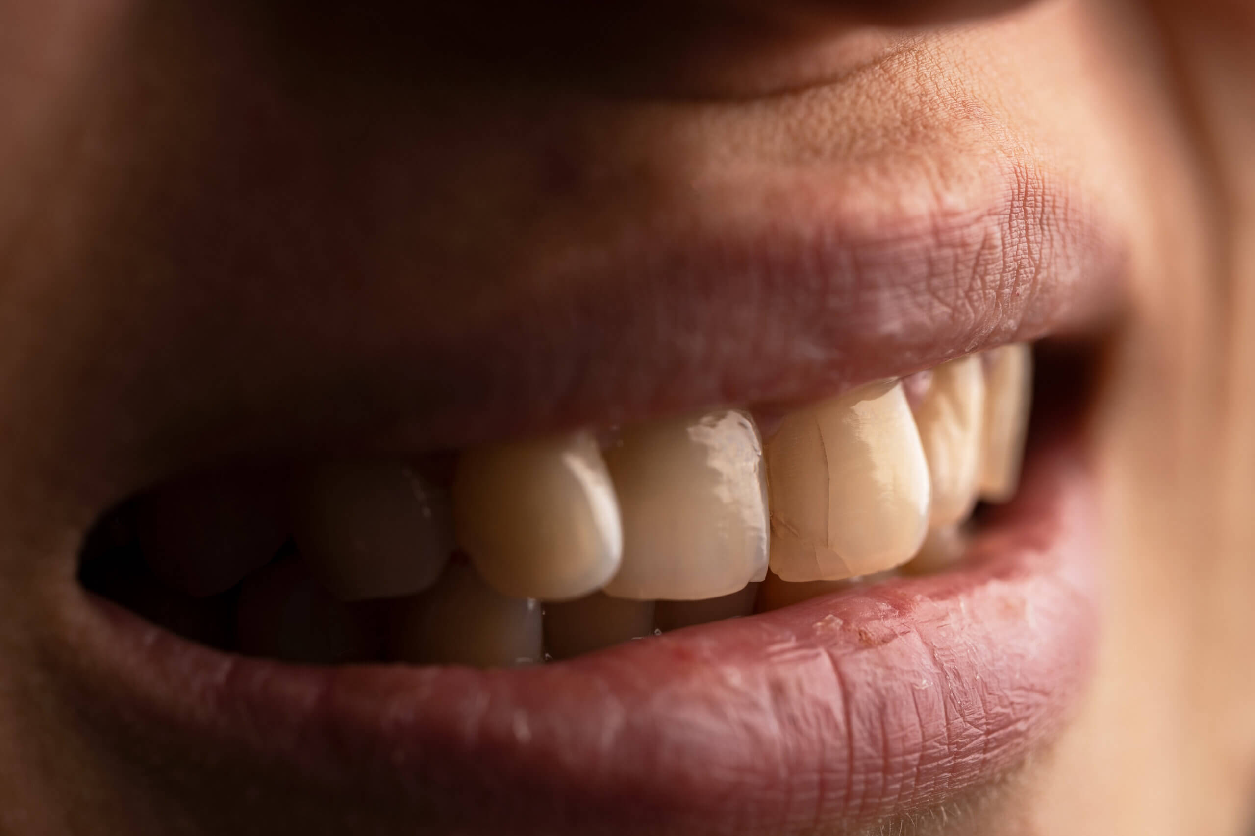What Services Should I Expect From a Dentist Near Me?